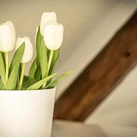 Semesterbostad Sch L Afbock