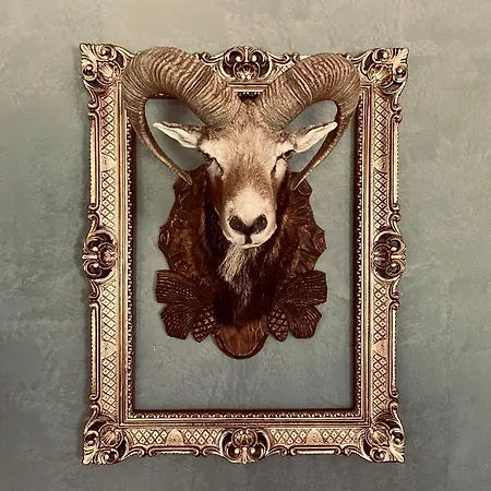 Semesterbostad Sch L Afbock *