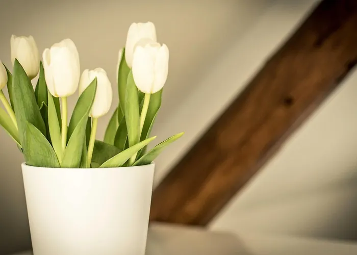 بيت للعطل Sch L Afbock