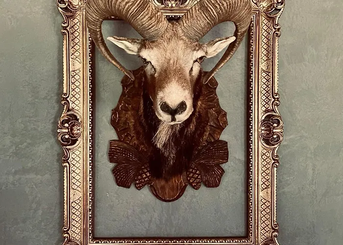 بيت للعطل Sch L Afbock *